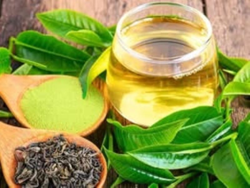 Trà Xanh chống tia cực tím - Ảnh BSCC