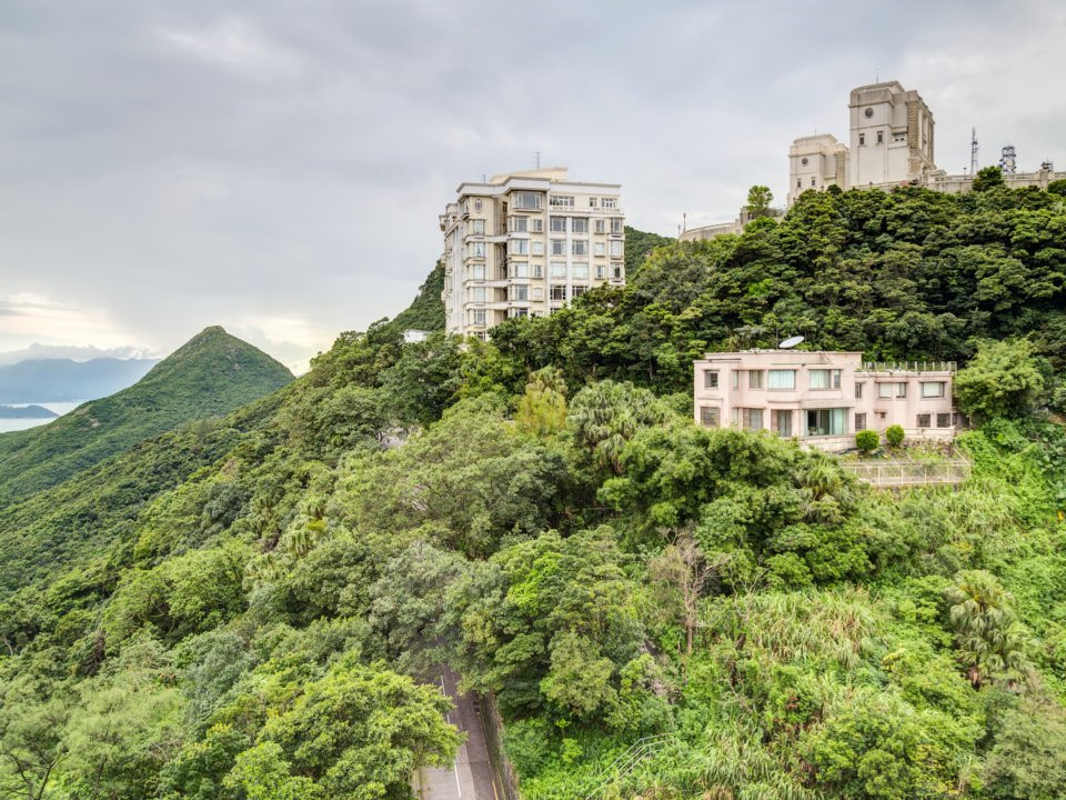 Khu vực Peak (viết gọn có Victoria Peak), nổi tiếng là một trong những khu vực đắt đỏ nhất tại Hong Kong - và cả thế giới. Đây là nơi ở của các nhân viên ngân hàng, người nước ngoài giàu có, doanh nhân, người nổi tiếng cùng giới triệu phú, tỷ phú Trung Quốc.