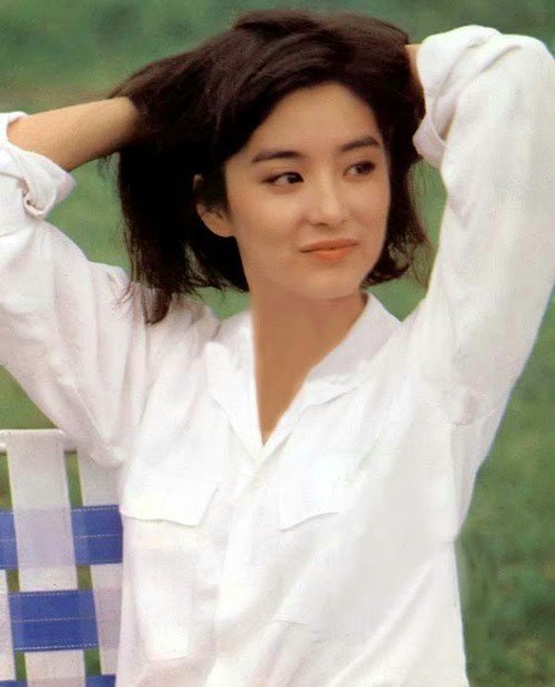 Nữ diễn viên là ngôi sao hàng đầu của điện ảnh Hoa ngữ thập niên từ 1970 đến 1990. Lâm Thanh Hà được mệnh là “đệ nhất mỹ nữ Đông Nam Á” và “người tình trong mộng mãi mãi”.