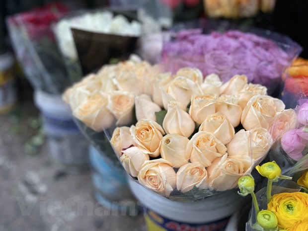  Giá đầu vào hoa hồng tăng cao khiến nhiều tiểu thương bán hoa 