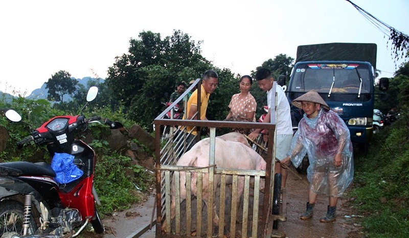   Hộ dân cùng tài sản ở xóm Thao Con, xã Vĩnh Tiến, huyện Kim Bôi ( Hòa Bình) trong khu vực nguy cơ cao lũ quét, sạt lở đất đã được di dời khẩn cấp về nơi tránh trú. (Ảnh: Mạnh Hùng).