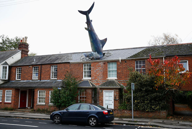 Mô hình cá mập dài tới 7,6m “đâm đầu” xuống mái nhà ở Oxford, Anh.
