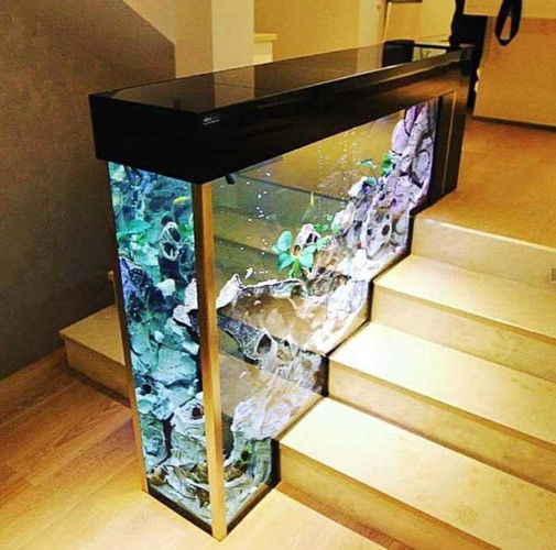 Một bể cá trang trí trên cầu thang sẽ biến căn hộ của bạn thành một tầm cao mới