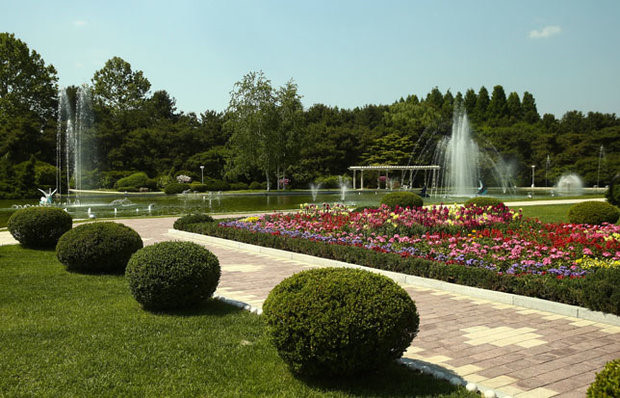 Xung quanh biệt thự trồng nhiều hoa và cây xanh.