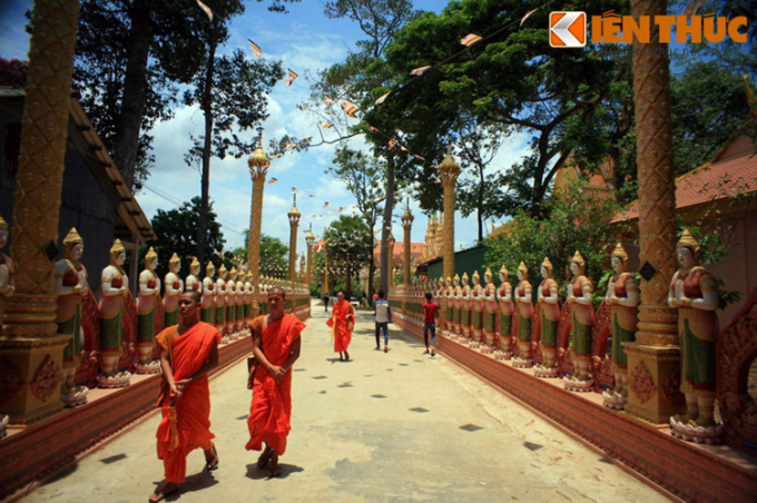 Tọa lạc tại ấp Cây Da, xã Đại An, huyện Tà Cú, tỉnh Trà Vinh, chùa Nodol (còn có các tên khác là chùa Cò, chùa Giồng Lớn) là một trong những ngôi chùa Khmer nổi tiếng nhất khu vực đồng bằng sông Cửu Long.
