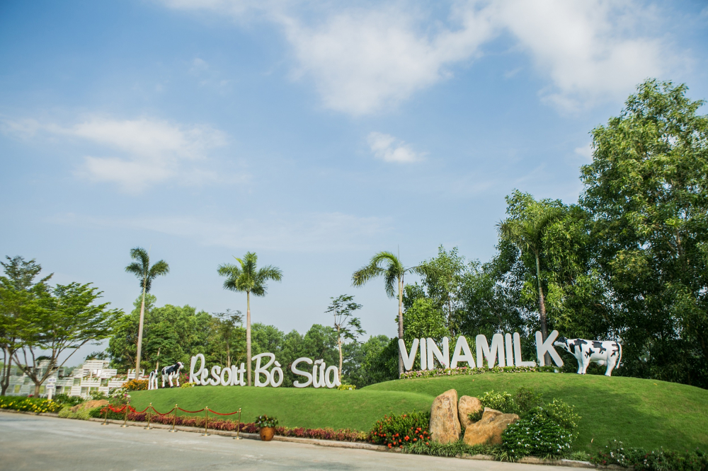 Resort Bò Sữa Vinamilk Tây Ninh – “Resort” lý tưởng cho những cô bò hạnh phúc  